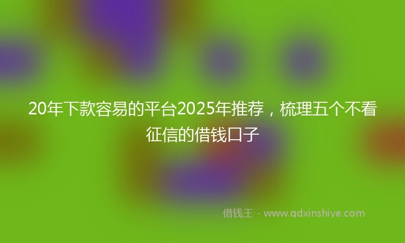 20年下款容易的平台2025年推荐，梳理五个不看征信的借钱口子