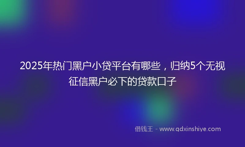2025年热门黑户小贷平台有哪些，归纳5个无视征信黑户必下的贷款口子
