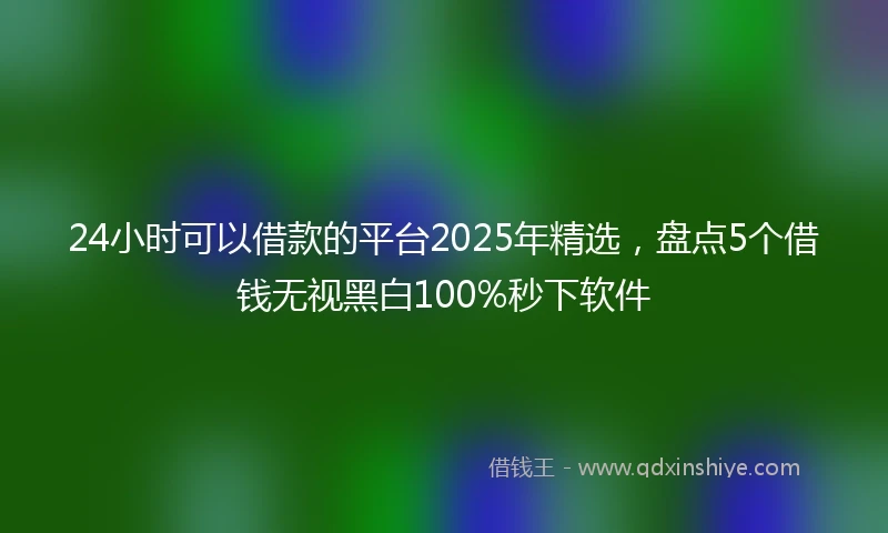 24小时可以借款的平台2025年精选，盘点5个借钱无视黑白100%秒下软件