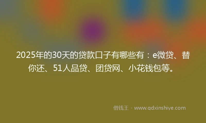 2025年的30天的贷款口子有哪些有：e微贷、替你还、51人品贷、团贷网、小花钱包等。