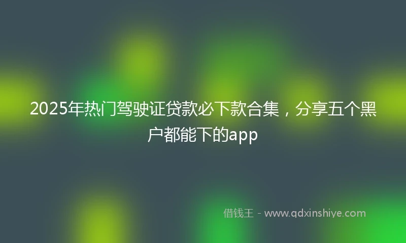 2025年热门驾驶证贷款必下款合集，分享五个黑户都能下的app