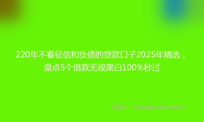 220年不看征信和负债的贷款口子2025年精选，盘点5个借款无视黑白100%秒过