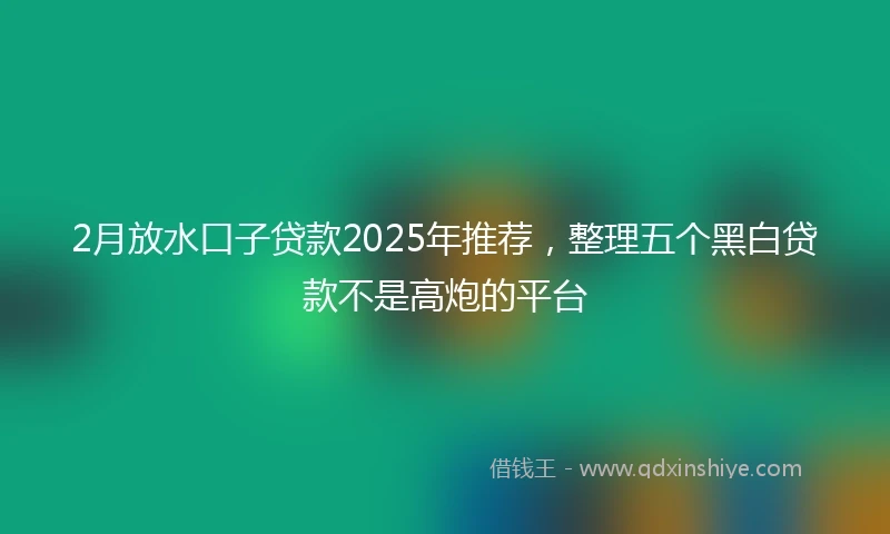 2月放水口子贷款2025年推荐，整理五个黑白贷款不是高炮的平台
