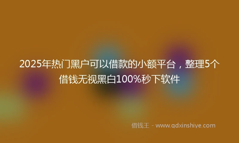 2025年热门黑户可以借款的小额平台，整理5个借钱无视黑白100%秒下软件