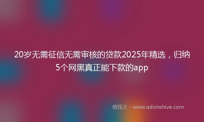20岁无需征信无需审核的贷款2025年精选，归纳5个网黑真正能下款的app