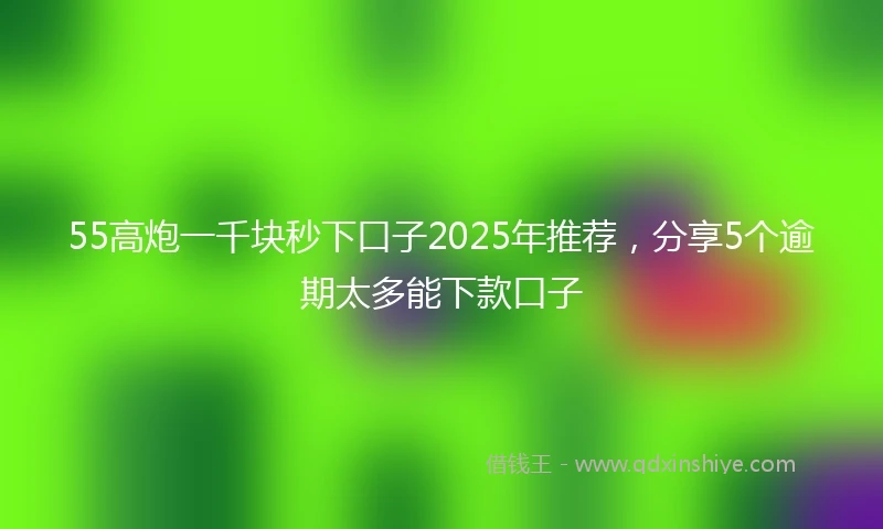55高炮一千块秒下口子2025年推荐，分享5个逾期太多能下款口子