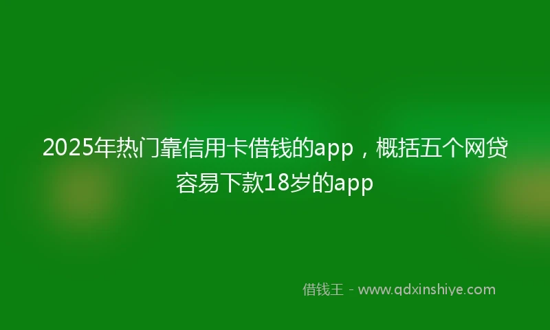 2025年热门靠信用卡借钱的app，概括五个网贷容易下款18岁的app