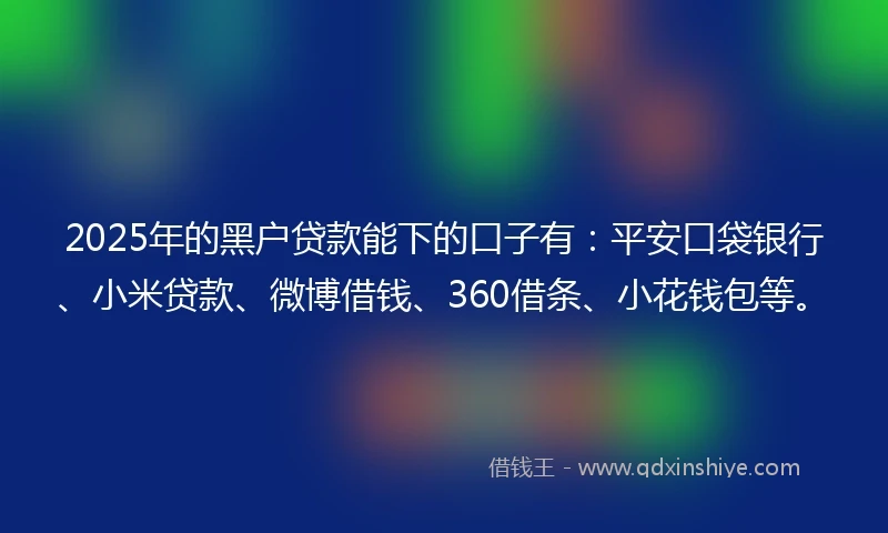 2025年的黑户贷款能下的口子有：平安口袋银行、小米贷款、微博借钱、360借条、小花钱包等。