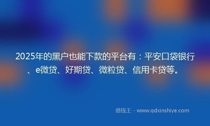 2025年的黑户也能下款的平台有：平安口袋银行、e微贷、好期贷、微粒贷、信用卡贷等。