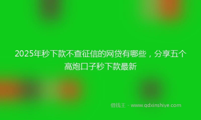 2025年秒下款不查征信的网贷有哪些，分享五个高炮口子秒下款最新