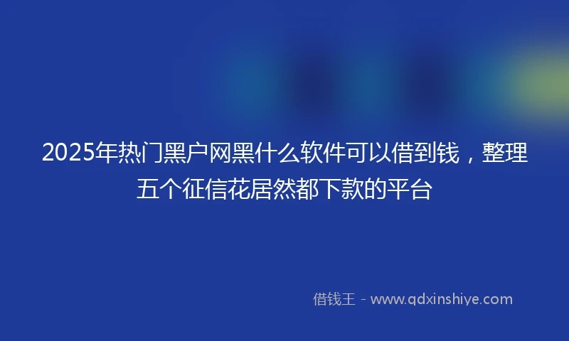 2025年热门黑户网黑什么软件可以借到钱，整理五个征信花居然都下款的平台