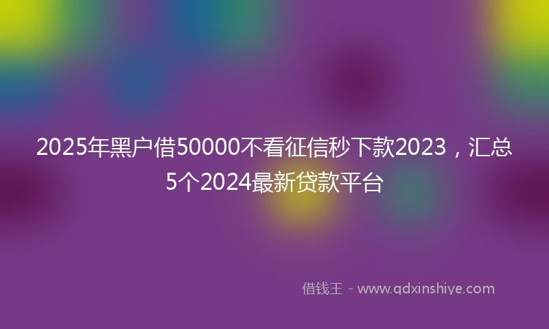 2025年黑户借50000不看征信秒下款2023，汇总5个2024最新贷款平台