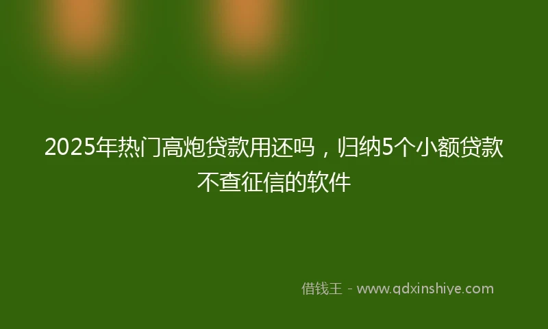 2025年热门高炮贷款用还吗，归纳5个小额贷款不查征信的软件