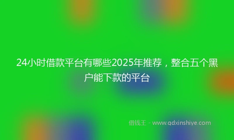24小时借款平台有哪些2025年推荐，整合五个黑户能下款的平台