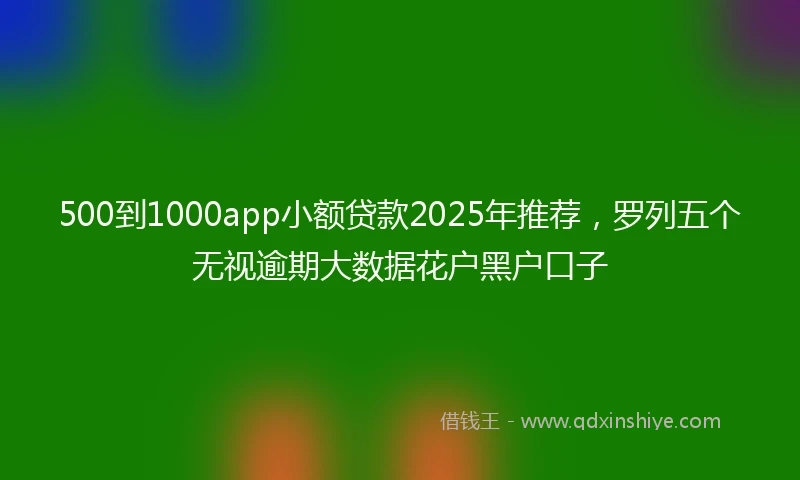 500到1000app小额贷款2025年推荐，罗列五个无视逾期大数据花户黑户口子