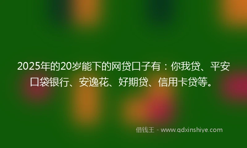 2025年的20岁能下的网贷口子有：你我贷、平安口袋银行、安逸花、好期贷、信用卡贷等。