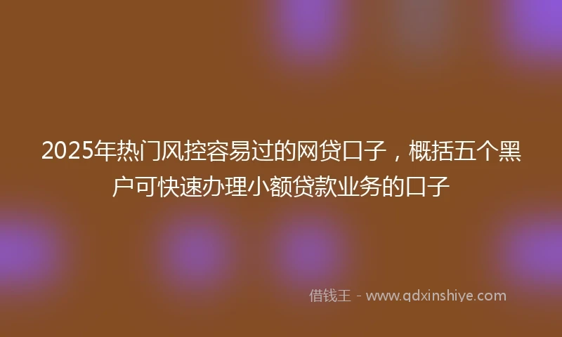 2025年热门风控容易过的网贷口子，概括五个黑户可快速办理小额贷款业务的口子