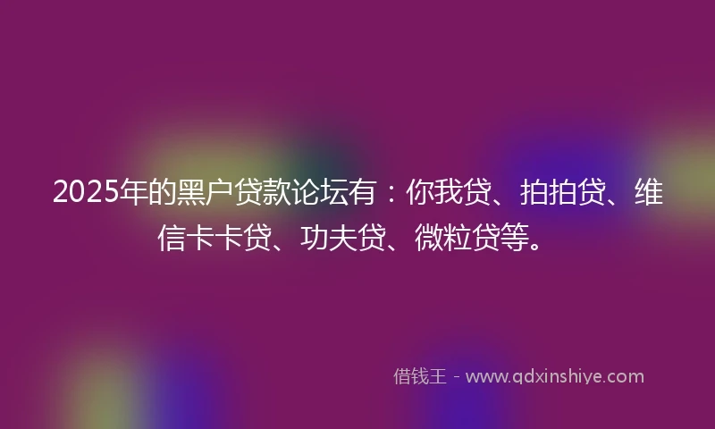 2025年的黑户贷款论坛有：你我贷、拍拍贷、维信卡卡贷、功夫贷、微粒贷等。