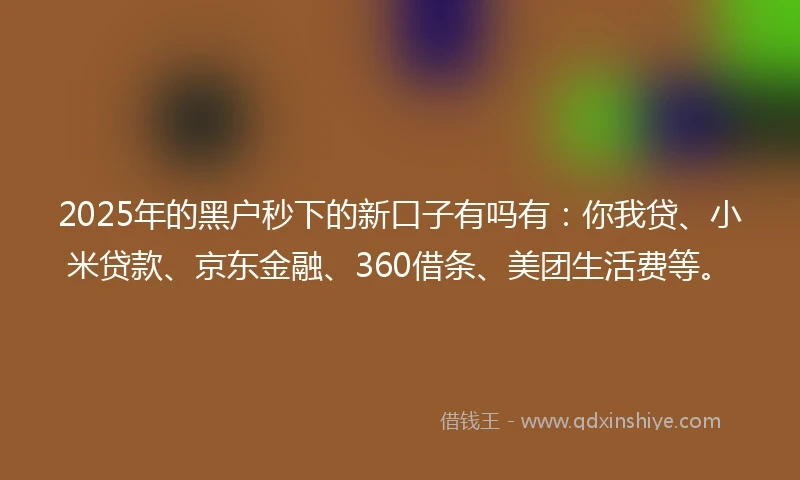 2025年的黑户秒下的新口子有吗有：你我贷、小米贷款、京东金融、360借条、美团生活费等。