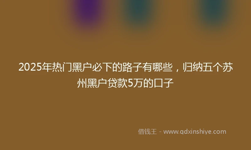 2025年热门黑户必下的路子有哪些，归纳五个苏州黑户贷款5万的口子