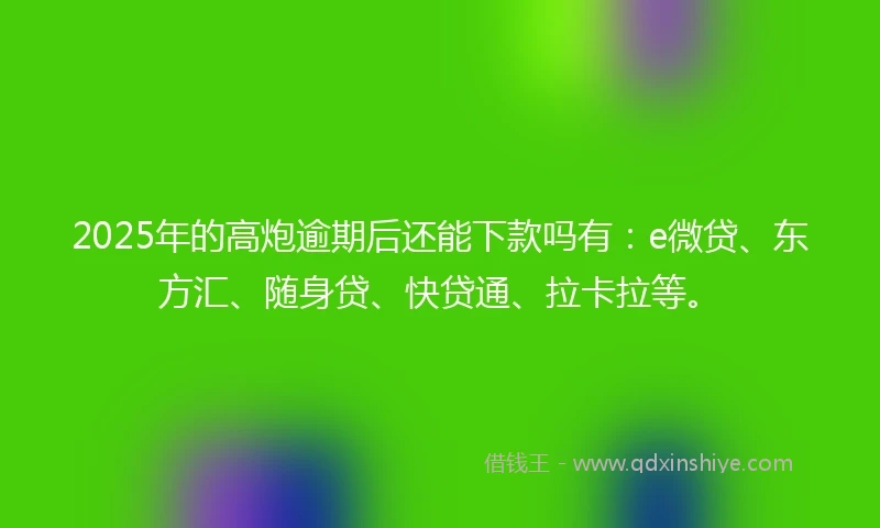 2025年的高炮逾期后还能下款吗有：e微贷、东方汇、随身贷、快贷通、拉卡拉等。