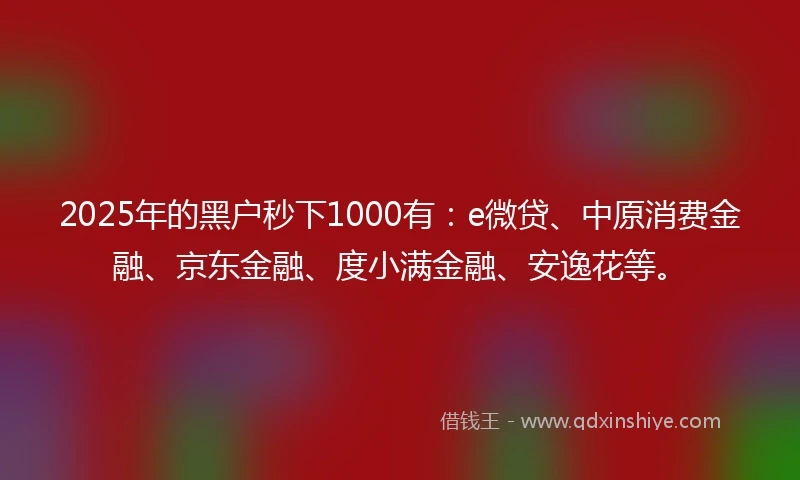 2025年的黑户秒下1000有：e微贷、中原消费金融、京东金融、度小满金融、安逸花等。