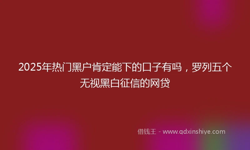2025年热门黑户肯定能下的口子有吗，罗列五个无视黑白征信的网贷