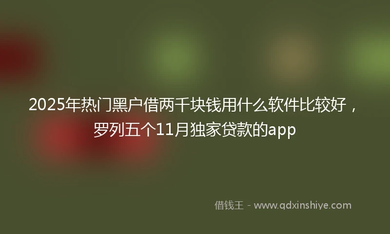 2025年热门黑户借两千块钱用什么软件比较好，罗列五个11月独家贷款的app