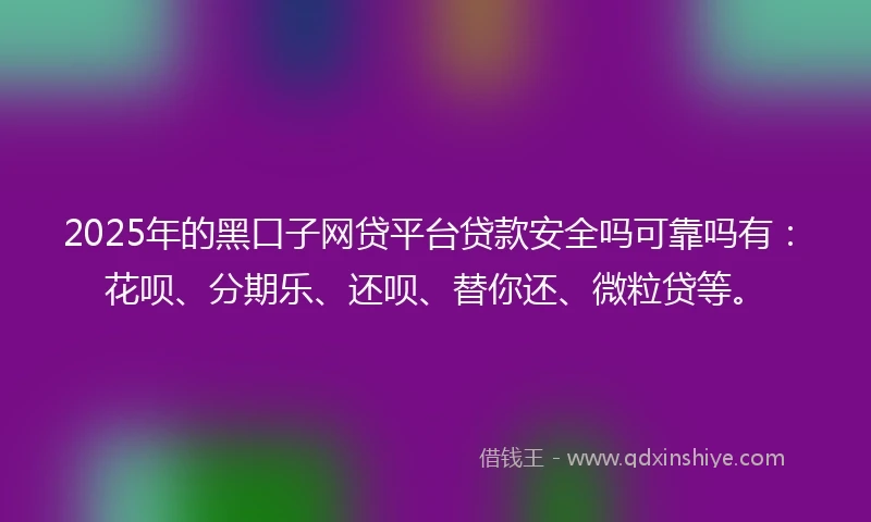 2025年的黑口子网贷平台贷款安全吗可靠吗有：花呗、分期乐、还呗、替你还、微粒贷等。