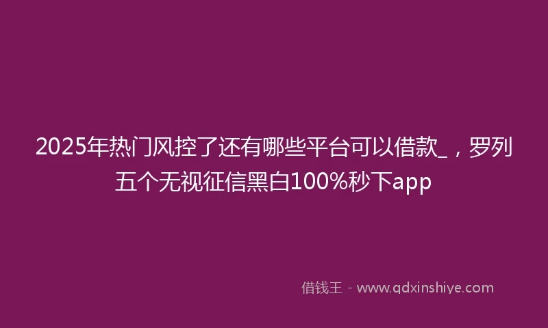 2025年热门风控了还有哪些平台可以借款_，罗列五个无视征信黑白100%秒下app