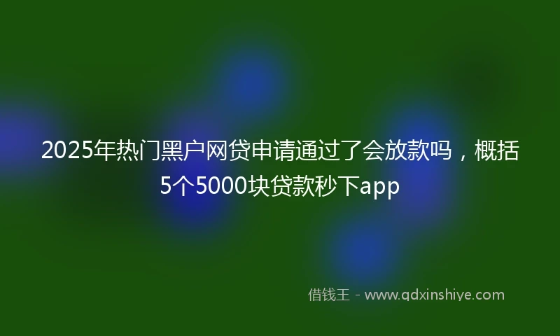 2025年热门黑户网贷申请通过了会放款吗，概括5个5000块贷款秒下app
