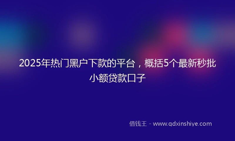 2025年热门黑户下款的平台，概括5个最新秒批小额贷款口子