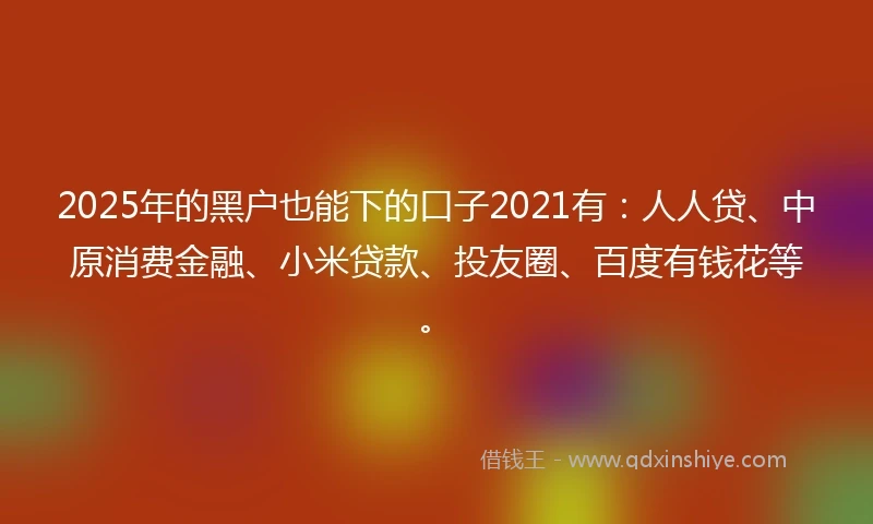 2025年的黑户也能下的口子2021有：人人贷、中原消费金融、小米贷款、投友圈、百度有钱花等。