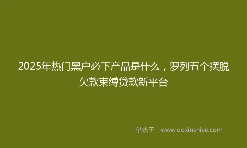 2025年热门黑户必下产品是什么，罗列五个摆脱欠款束缚贷款新平台
