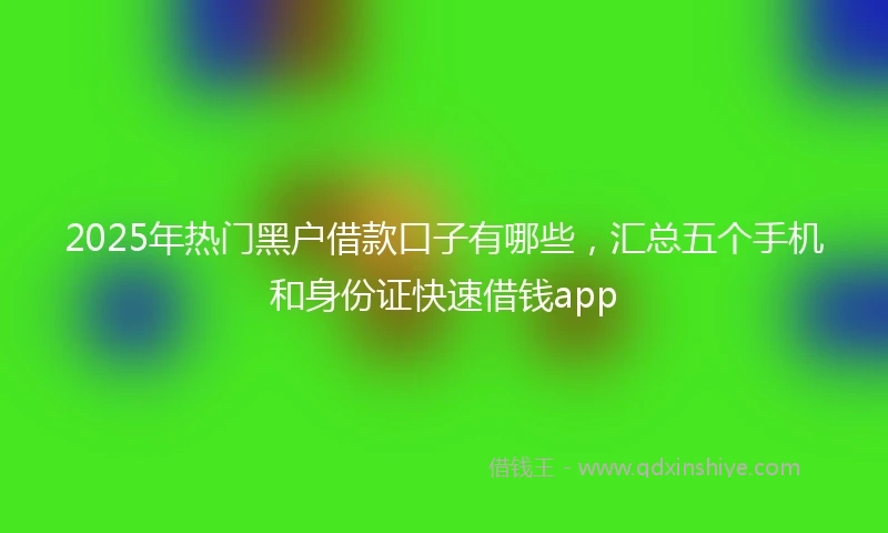 2025年热门黑户借款口子有哪些，汇总五个手机和身份证快速借钱app