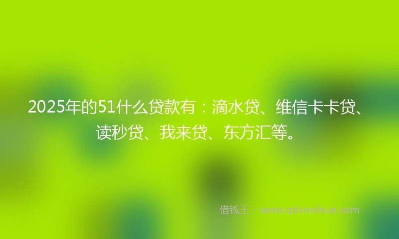 2025年的51什么贷款有：滴水贷、维信卡卡贷、读秒贷、我来贷、东方汇等。