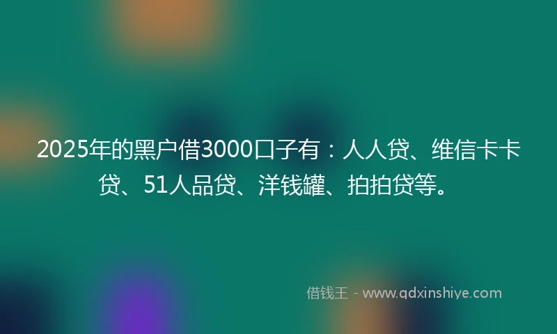 2025年的黑户借3000口子有：人人贷、维信卡卡贷、51人品贷、洋钱罐、拍拍贷等。