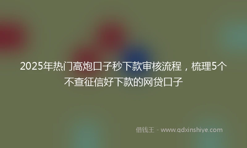 2025年热门高炮口子秒下款审核流程，梳理5个不查征信好下款的网贷口子
