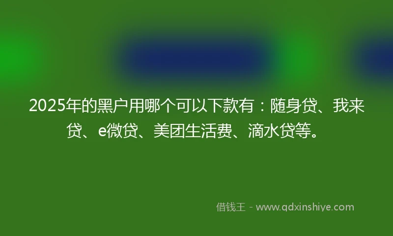2025年的黑户用哪个可以下款有：随身贷、我来贷、e微贷、美团生活费、滴水贷等。