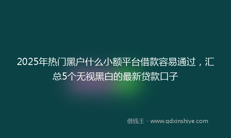 2025年热门黑户什么小额平台借款容易通过，汇总5个无视黑白的最新贷款口子
