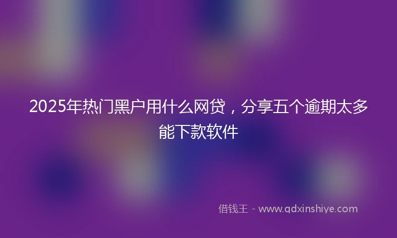 2025年热门黑户用什么网贷，分享五个逾期太多能下款软件