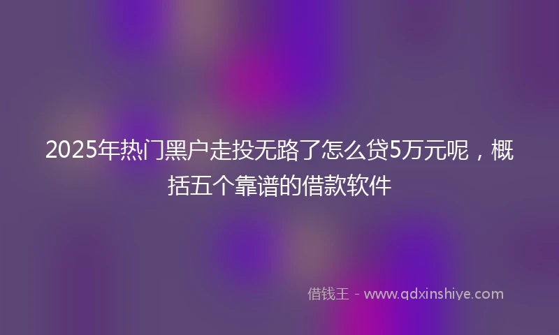 2025年热门黑户走投无路了怎么贷5万元呢，概括五个靠谱的借款软件