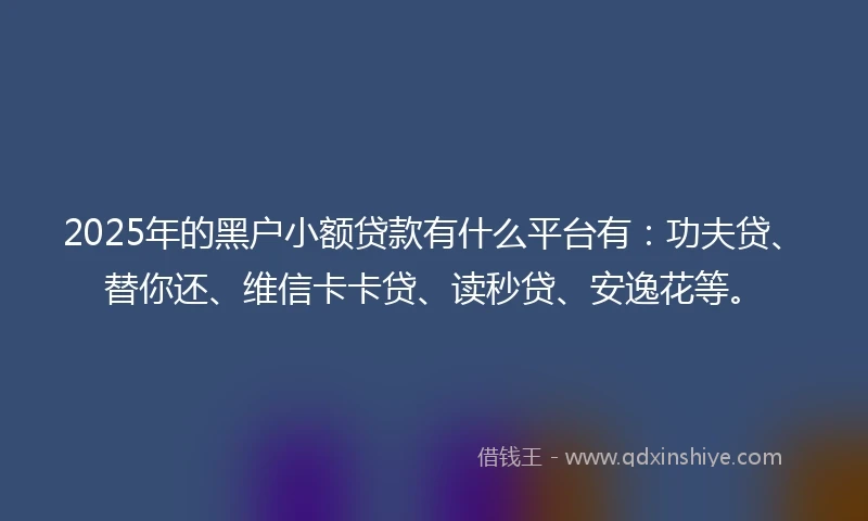 2025年的黑户小额贷款有什么平台有：功夫贷、替你还、维信卡卡贷、读秒贷、安逸花等。