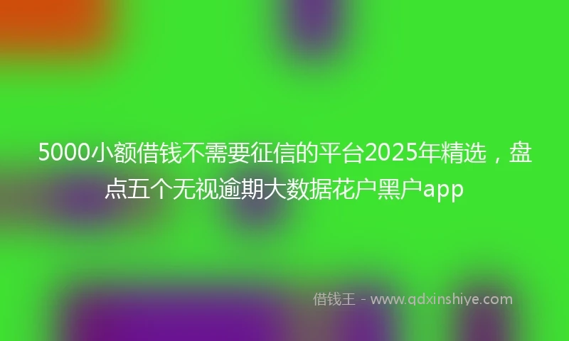 5000小额借钱不需要征信的平台2025年精选，盘点五个无视逾期大数据花户黑户app