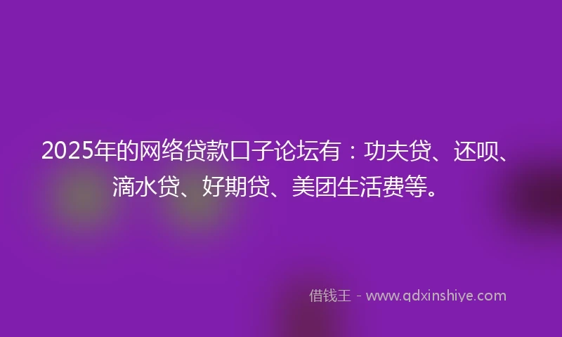 2025年的网络贷款口子论坛有：功夫贷、还呗、滴水贷、好期贷、美团生活费等。