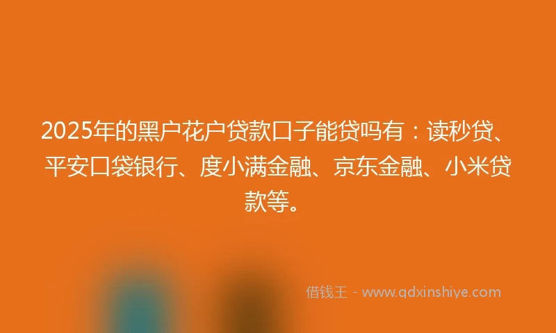 2025年的黑户花户贷款口子能贷吗有：读秒贷、平安口袋银行、度小满金融、京东金融、小米贷款等。