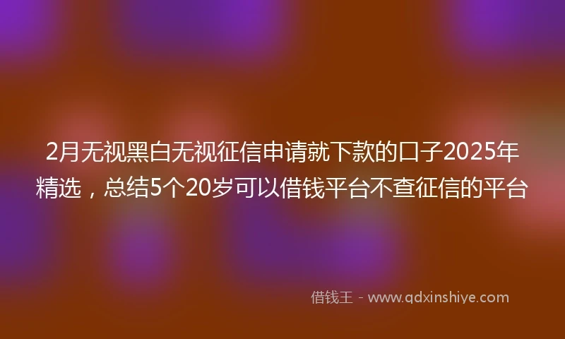2月无视黑白无视征信申请就下款的口子2025年精选，总结5个20岁可以借钱平台不查征信的平台