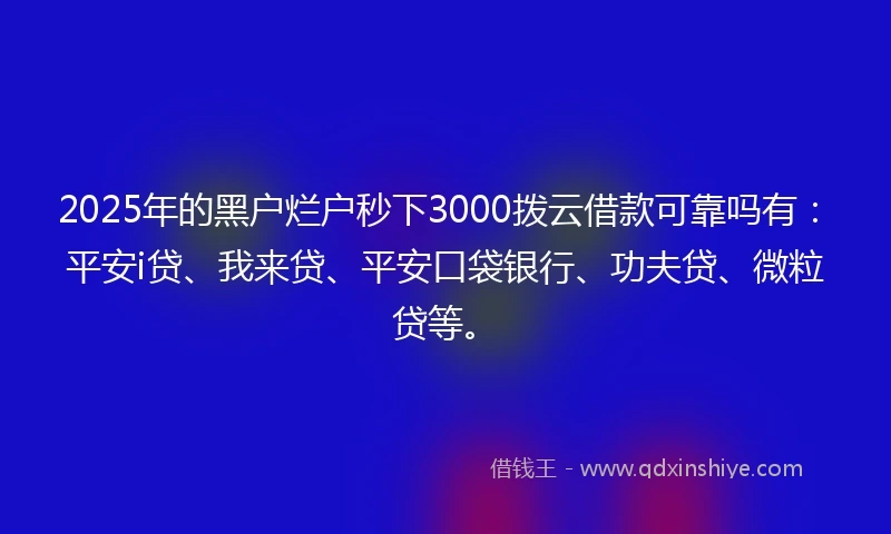 2025年的黑户烂户秒下3000拨云借款可靠吗有：平安i贷、我来贷、平安口袋银行、功夫贷、微粒贷等。