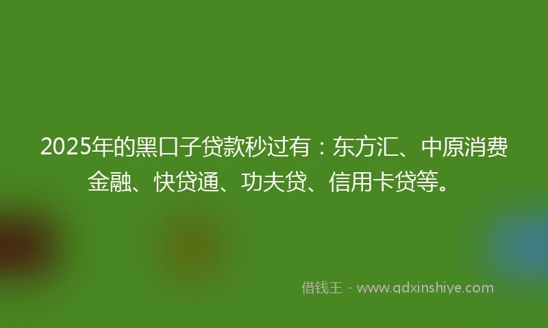 2025年的黑口子贷款秒过有：东方汇、中原消费金融、快贷通、功夫贷、信用卡贷等。
