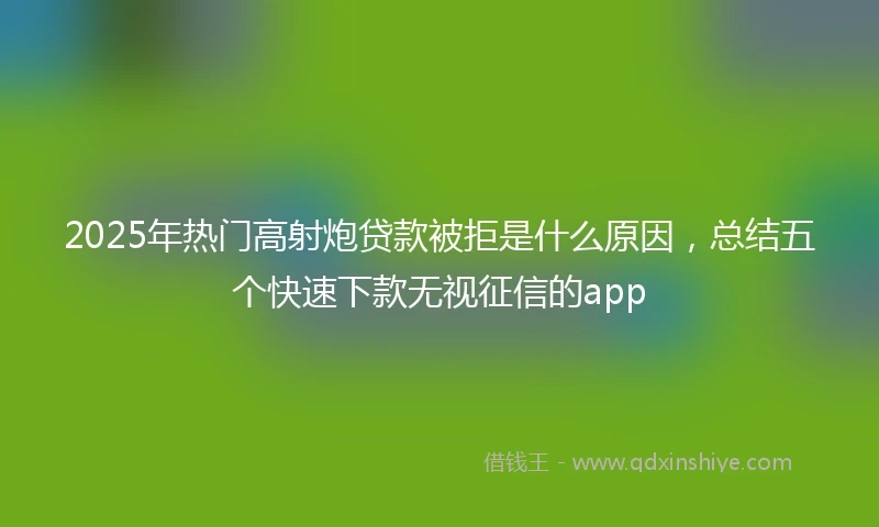 2025年热门高射炮贷款被拒是什么原因，总结五个快速下款无视征信的app